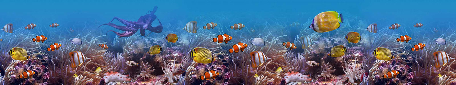 №3727 - Разнообразие рыб под водой