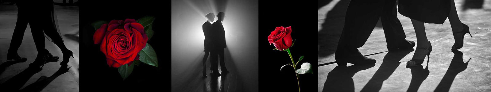 №3768 - Тени танцующих танго и красные розы