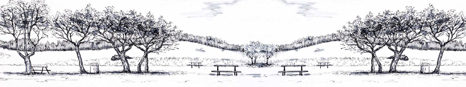 №3818 - Рисунок тихого пейзажа в парке