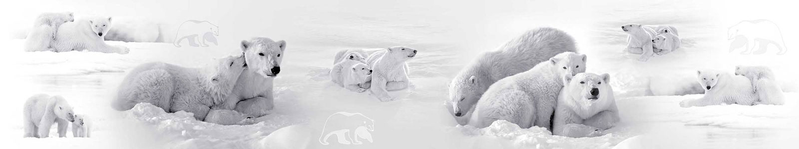 №3840 - Белые медведи отдыхают