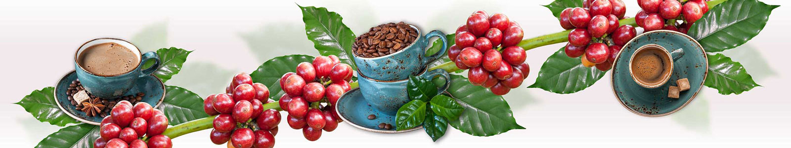№3872 - Кофейный коллаж - чашка, зерна и листья