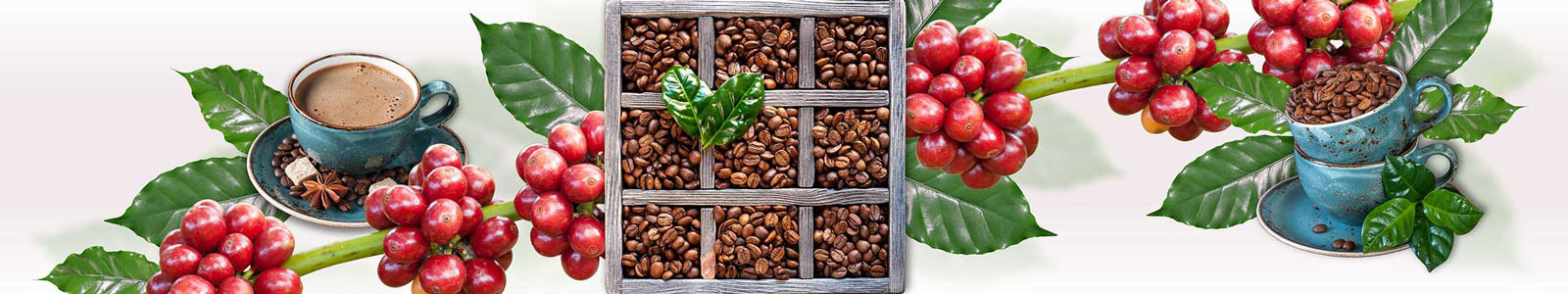 №3873 - Кофейный коллаж - чашка, зерна и листья