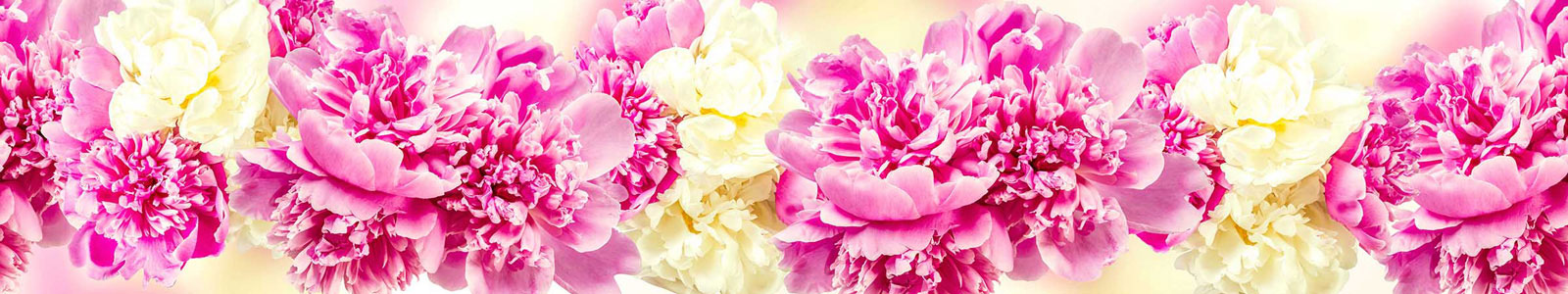 №3876 - Яркие розовые и желтые пионы