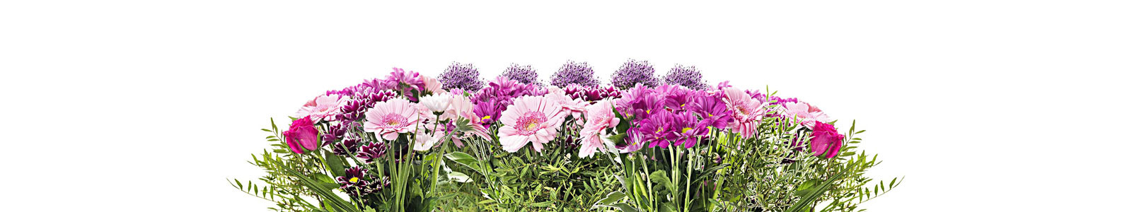 №4283 - Розово-фиолетовые цветы
