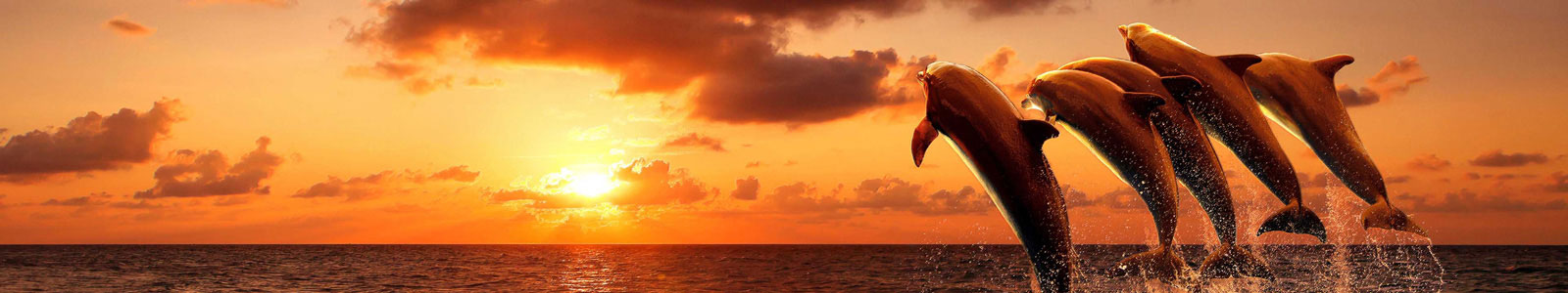 №4347 - Дельфины на закате, изображение с имитацией рисования пастелью
