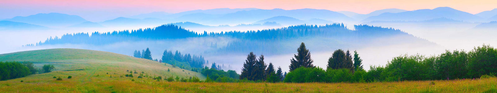 №4407 - Потрясающее летнее утро в тумане, Карпаты