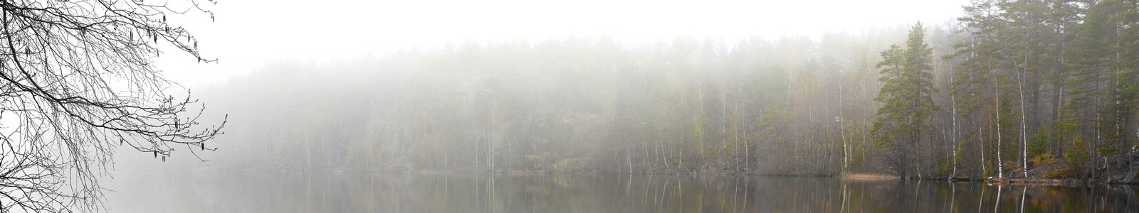 №4414 - Утренний туман над озером в Карелии