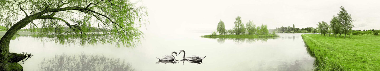 №4495 - Нарисованные лебеди на озере
