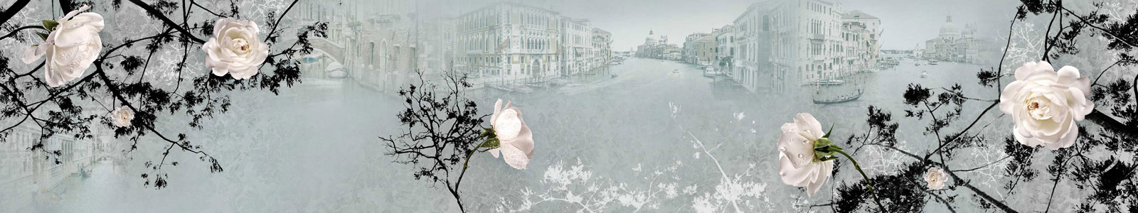№4622 - Белые розы с каплями воды и Венеция на фоне