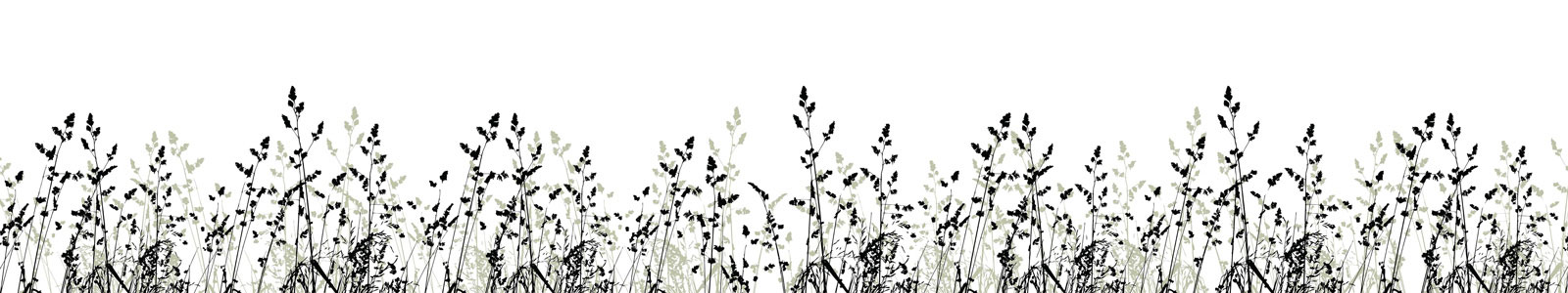 №4636 - Силуэты травы на белом фоне