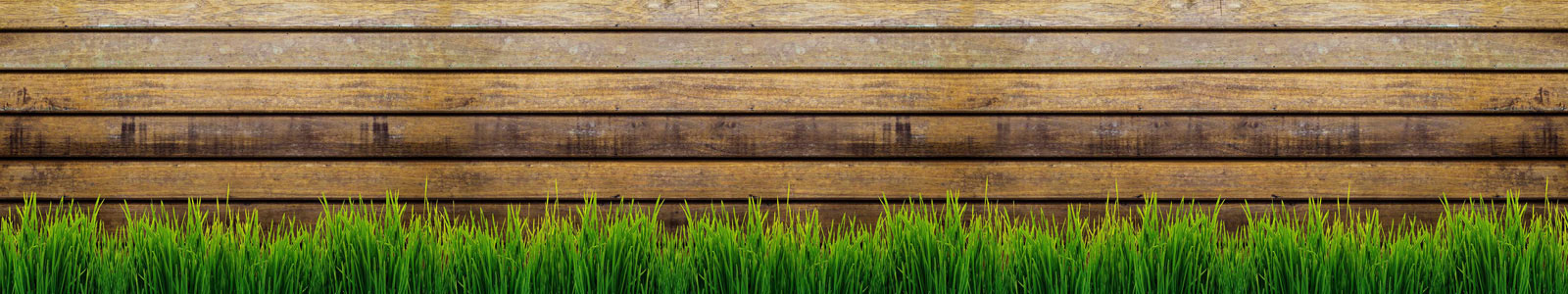 №4876 - Трава на фоне деревянной стены