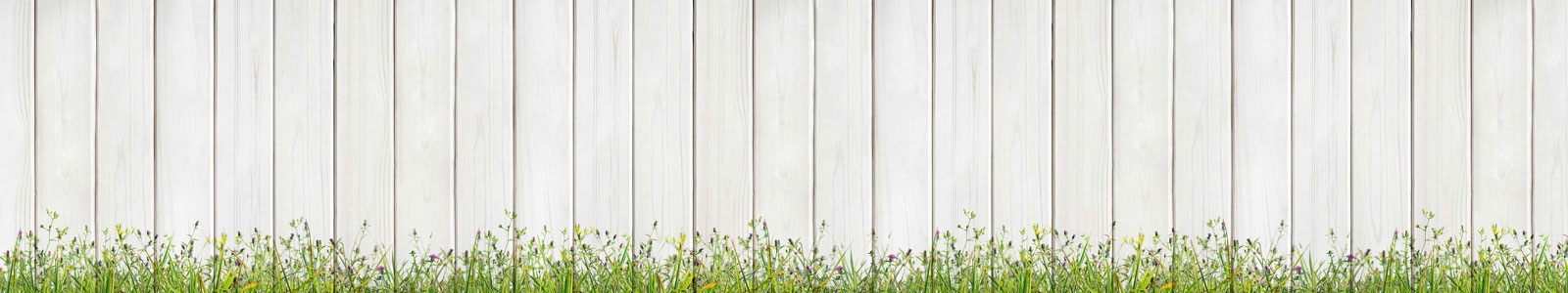 №4878 - Полевые цветы на фоне белой деревянной стены