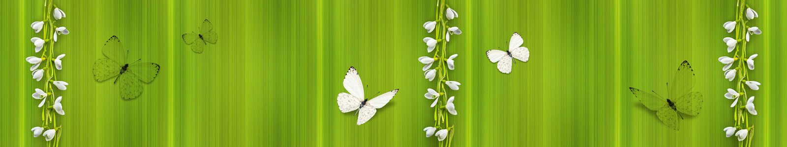 №4919 - Белые бабочки и подснежники на зеленом фоне