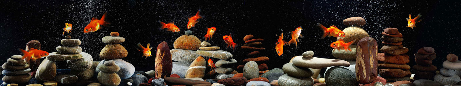 №4955 - Аквариум с золотыми рыбками