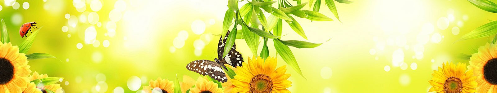 №5617 - Яркий солнечный фон с бабочкой и божьей коровкой в листьях
