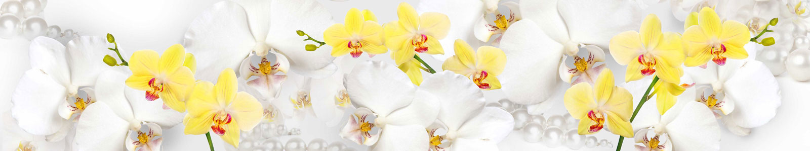 №5636 - Желтые, белые орхидеи с жемчугом