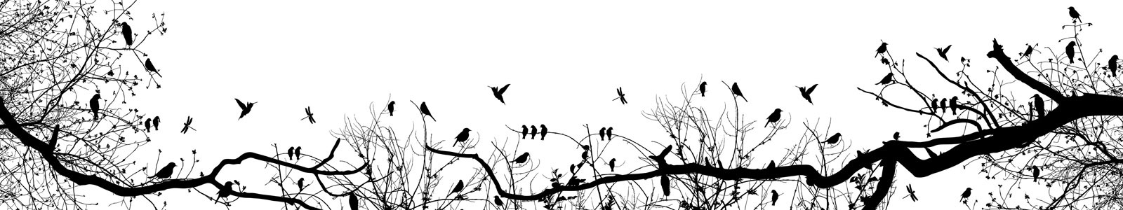 №5740 - Силуэты птиц на деревьях и кустах