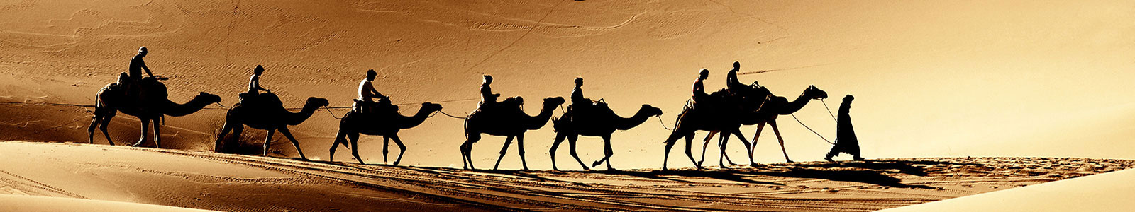 №864 - Каравае верблюдов идет по пустыне