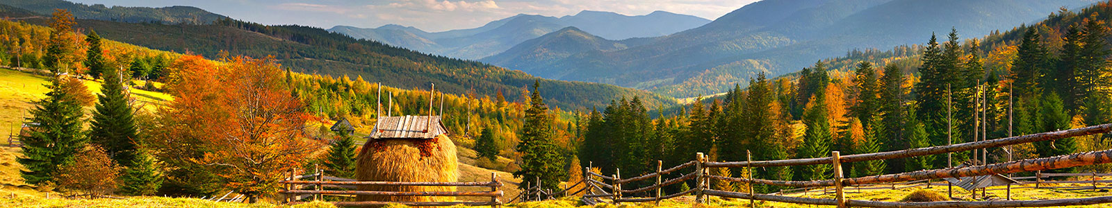 №891 - Красочный и солнечный пейзаж в осенних Карпатах