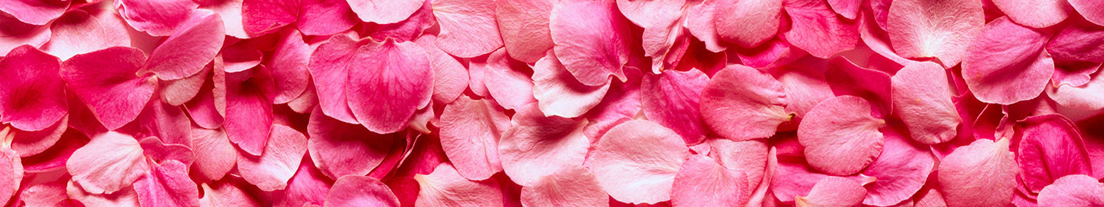 №977 - Розовые насыщенные лепестки розы