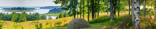 Скинали из стекла - Вид на озеро с лесной опушки