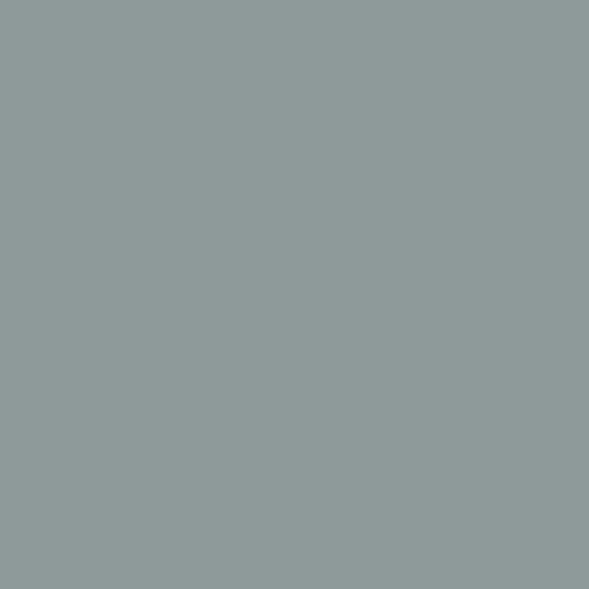 NCS S 4005-B50G