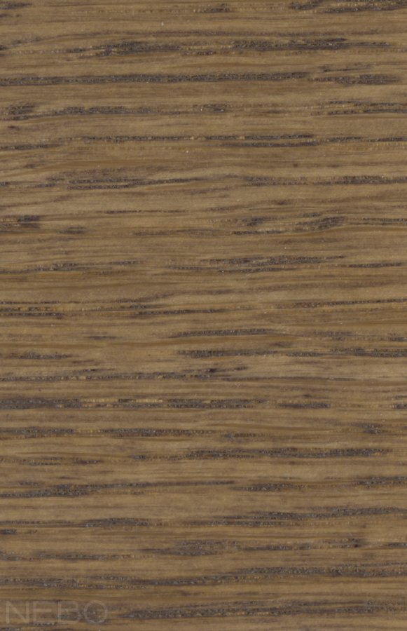 Sopur Popiel BN-022
