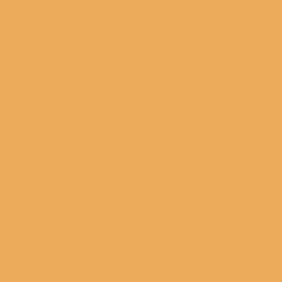 Woodcolor WCP-209