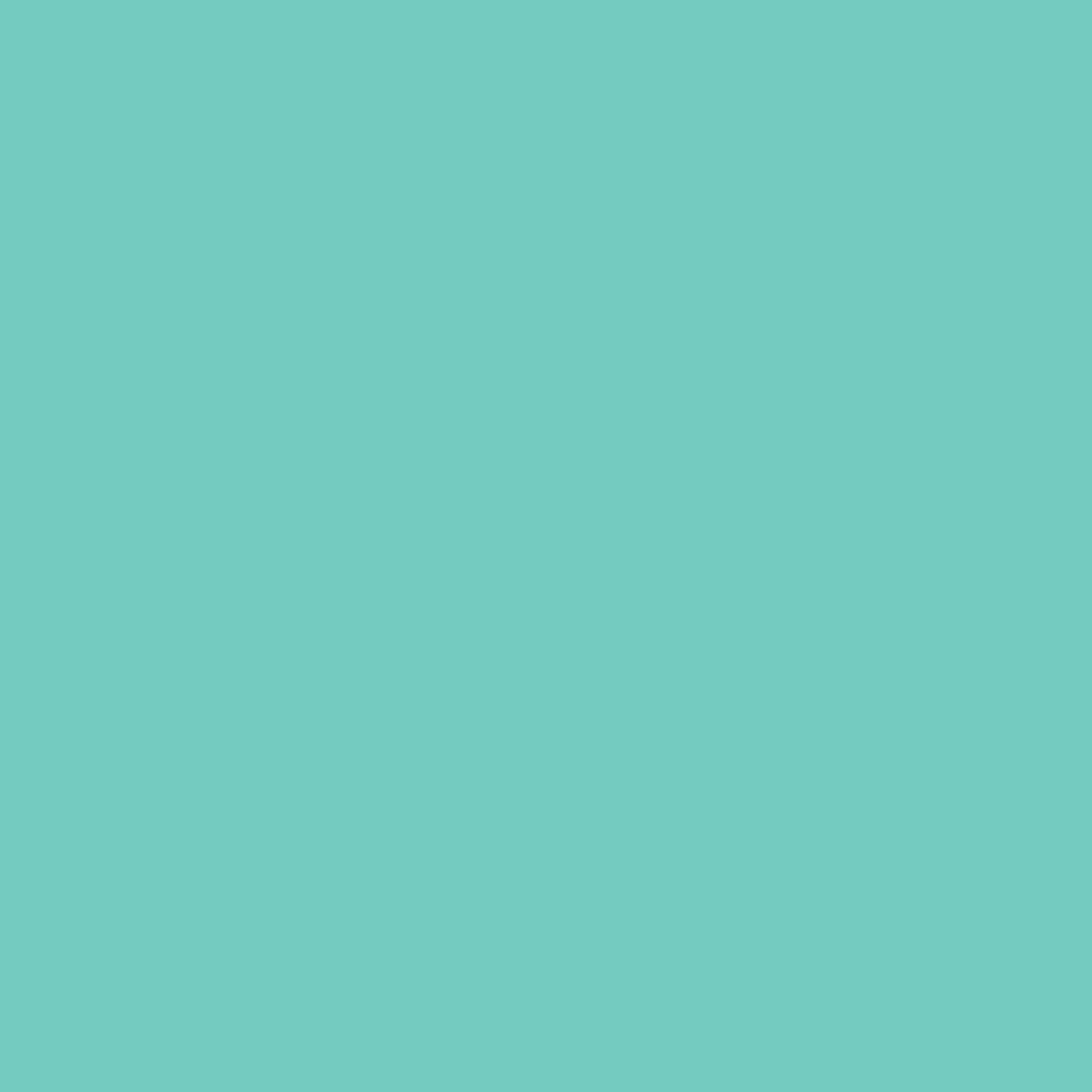 Woodcolor WCP-251