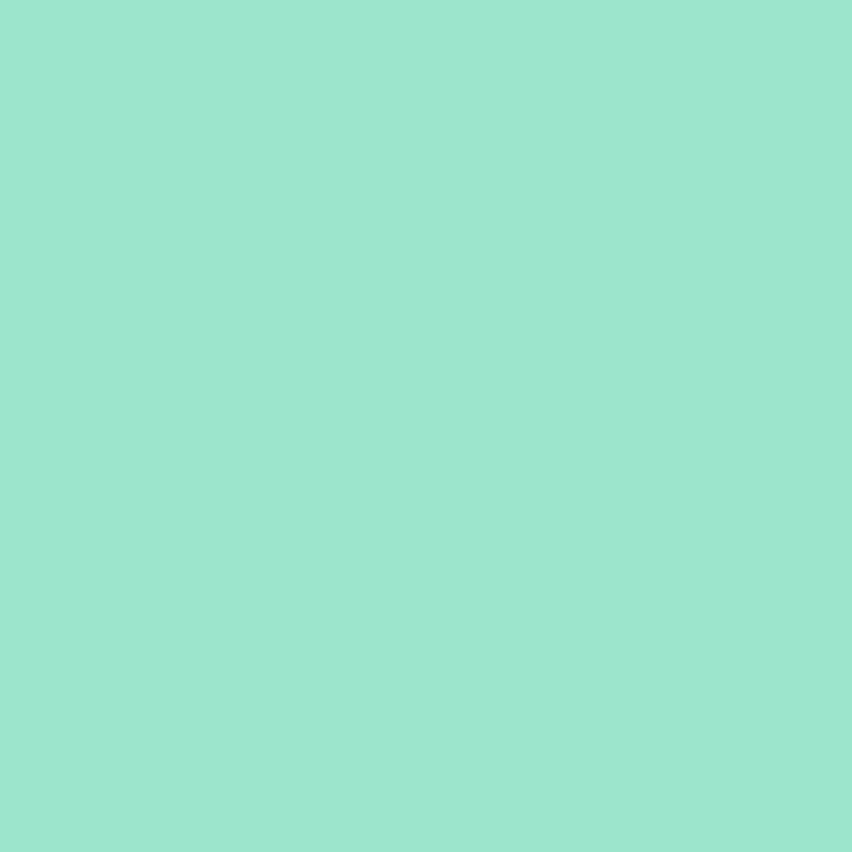 Woodcolor WCP-255