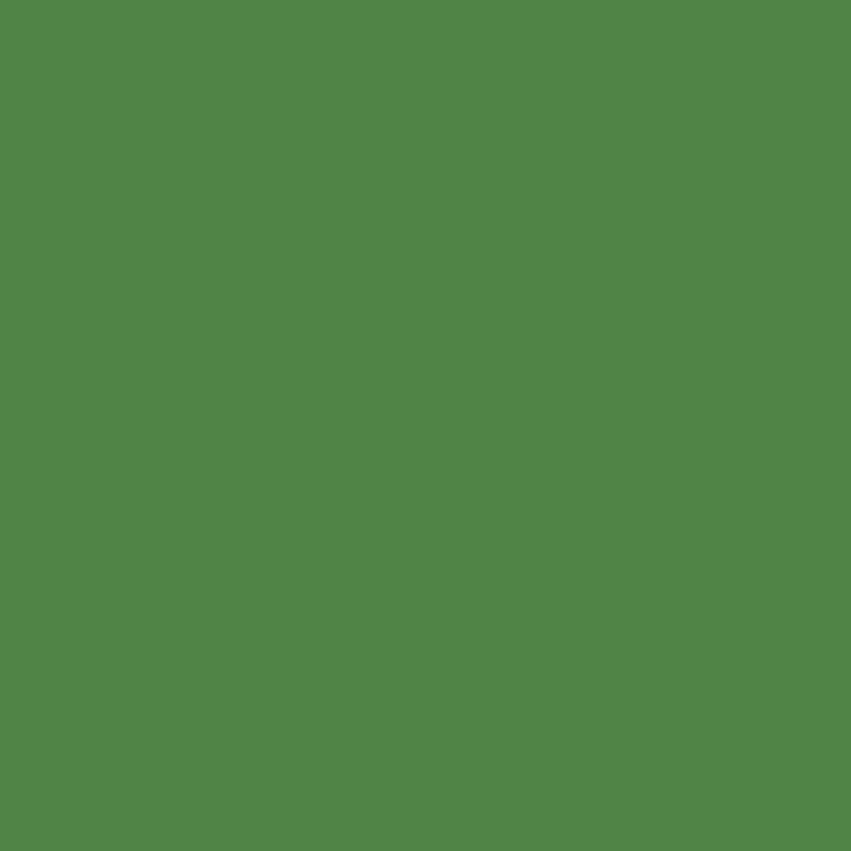 Woodcolor WCP-259