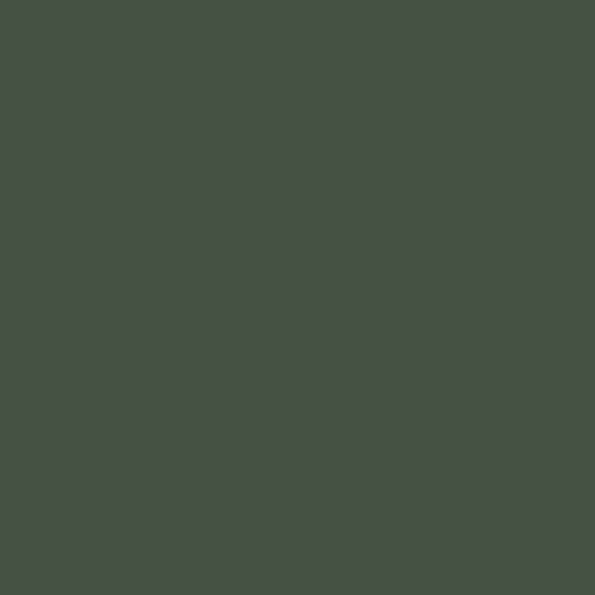 Woodcolor WCP-262