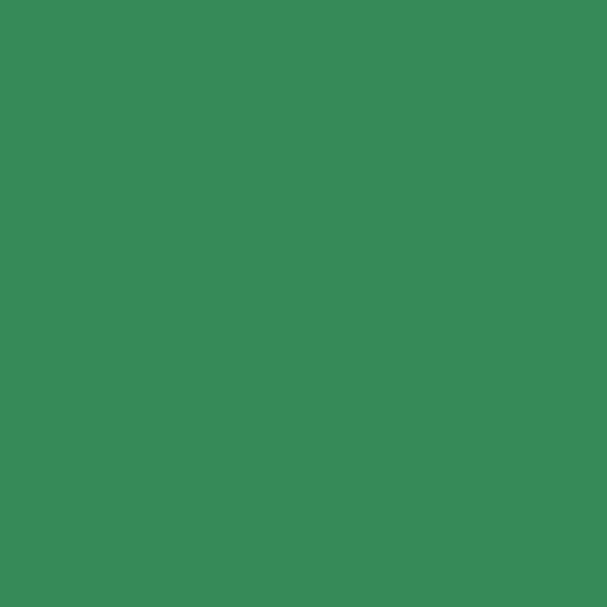 Woodcolor WCP-265