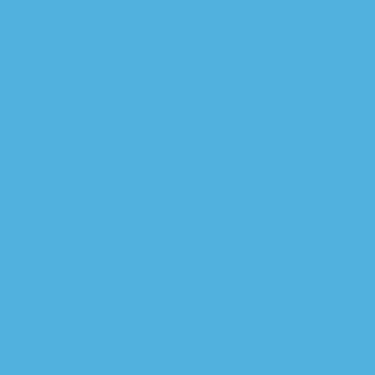 Woodcolor WCP-281