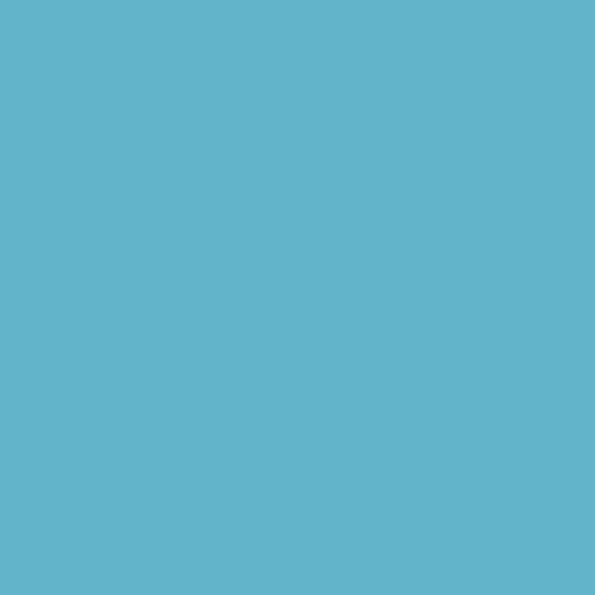 Woodcolor WCP-286