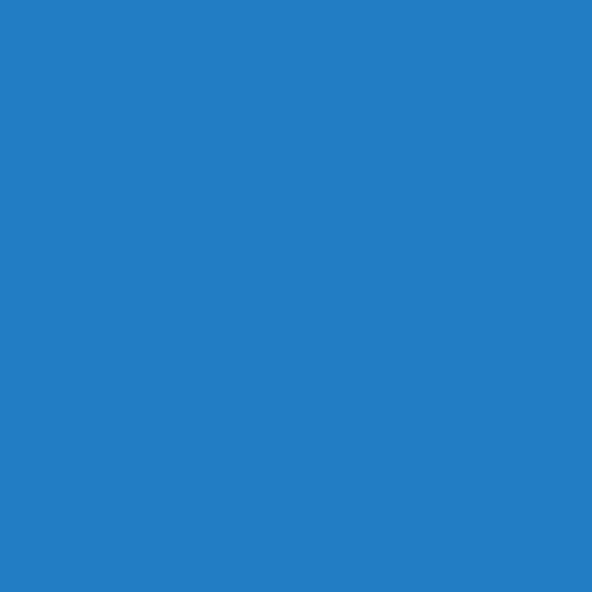 Woodcolor WCP-297