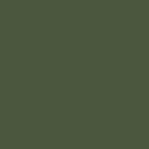 RAL 6003 Оливково-зелёный